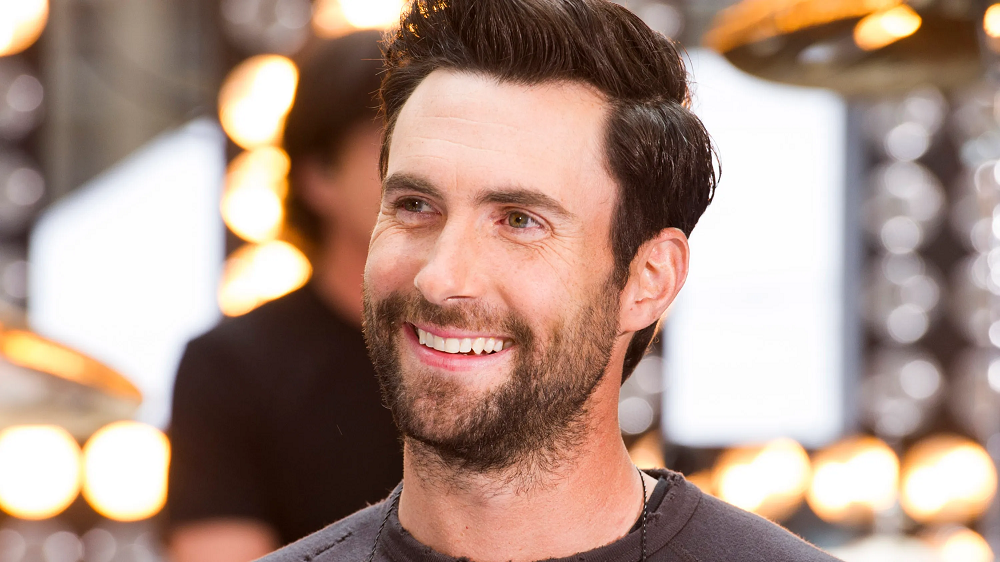 Adam Levine career