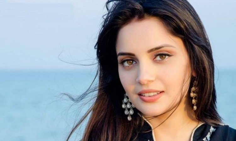 Armeena Khan - Wiki, Height, Age, Husband, Professional Life 3 Armeena Khan career