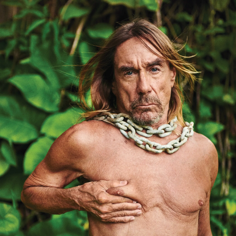 Iggy Pop career