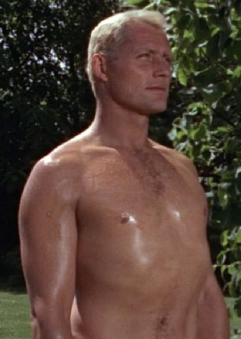 Robert Shaw Height, Weight, Net Worth, Personal Facts, Career Journey & Physical Attributes 2 Robert Shaw Height