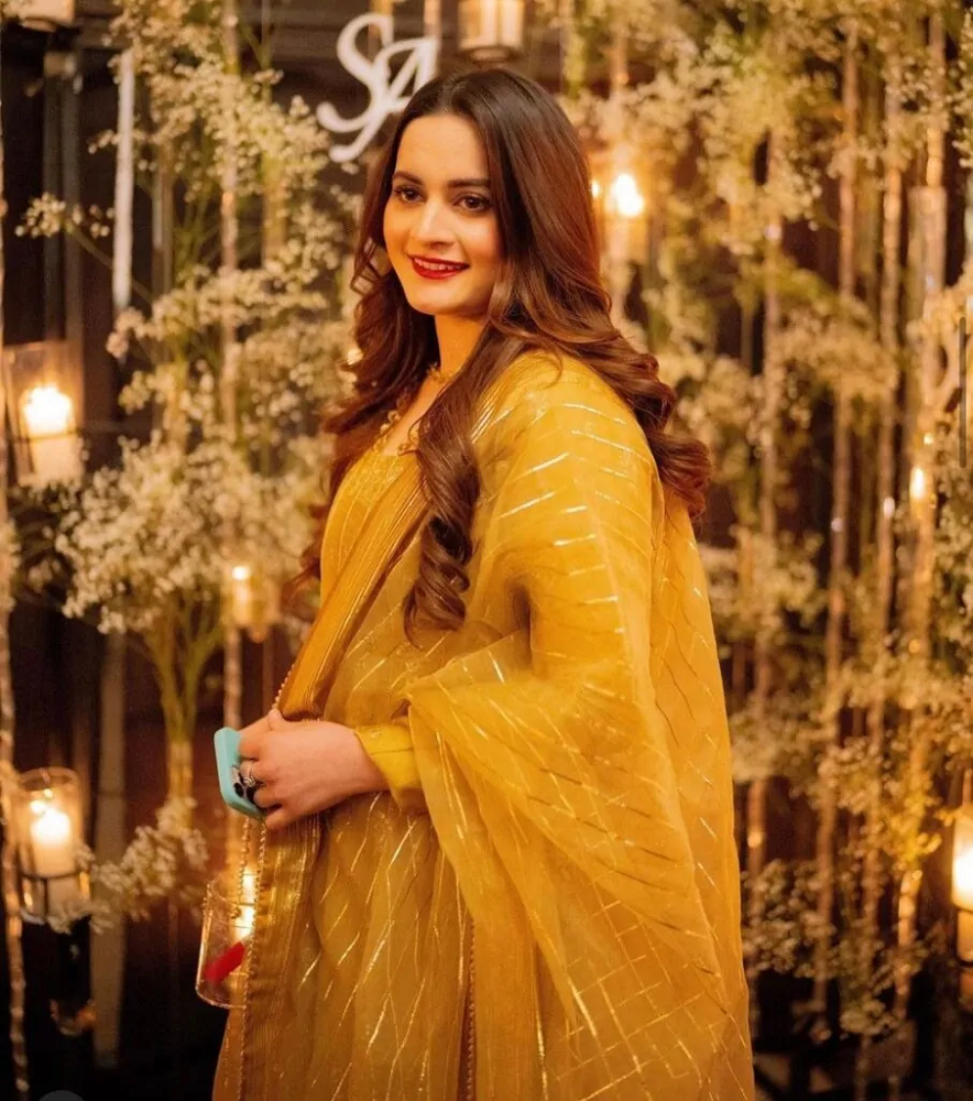 Aiman Khan - Net Worth 2023, Age, Height, Bio, Birthday, Wiki 3 Aiman Khan career