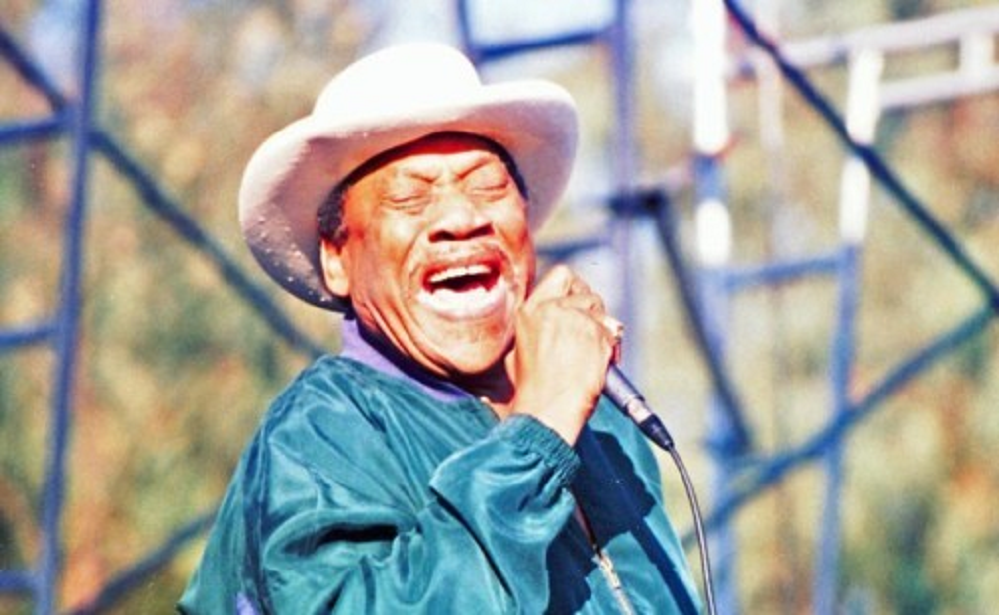 Bobby Bland - Height, Weight, Net Worth, Personal Details 3 Bobby Bland Family