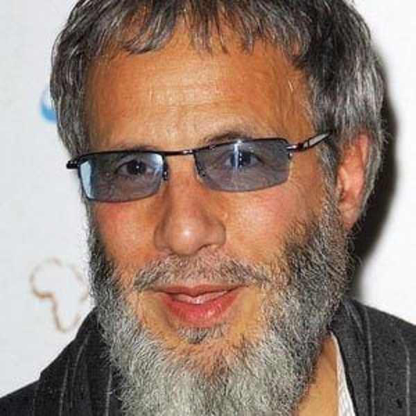 Cat Stevens Net Worth