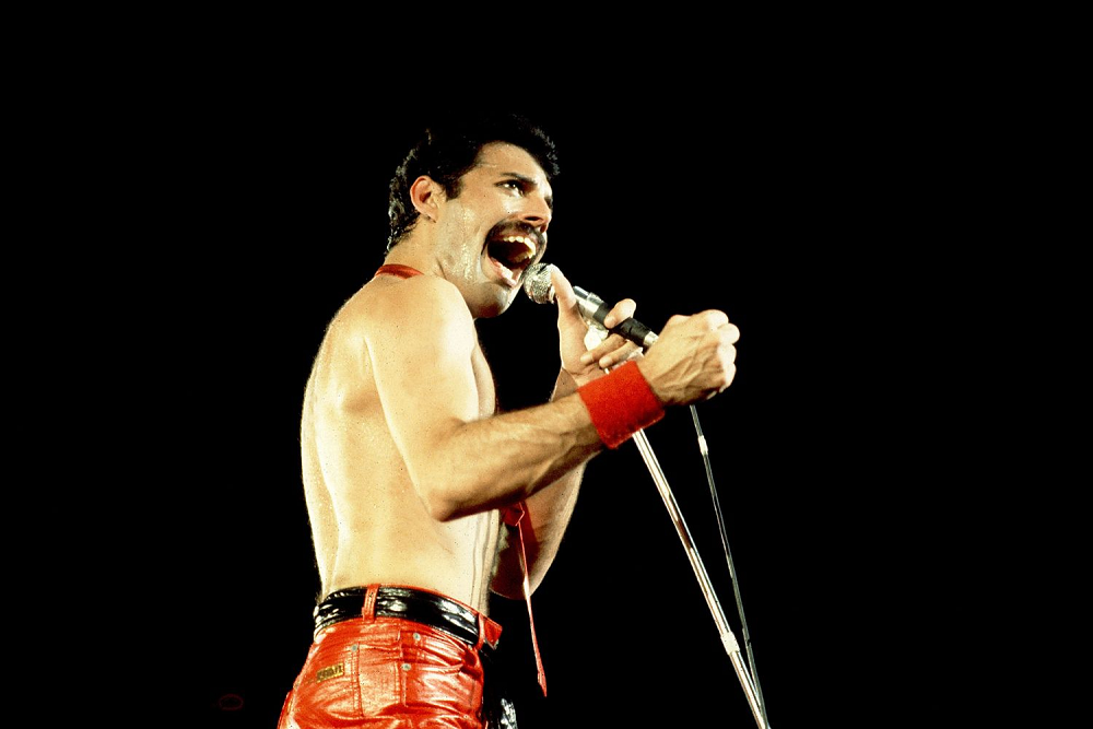 Freddie Mercury career