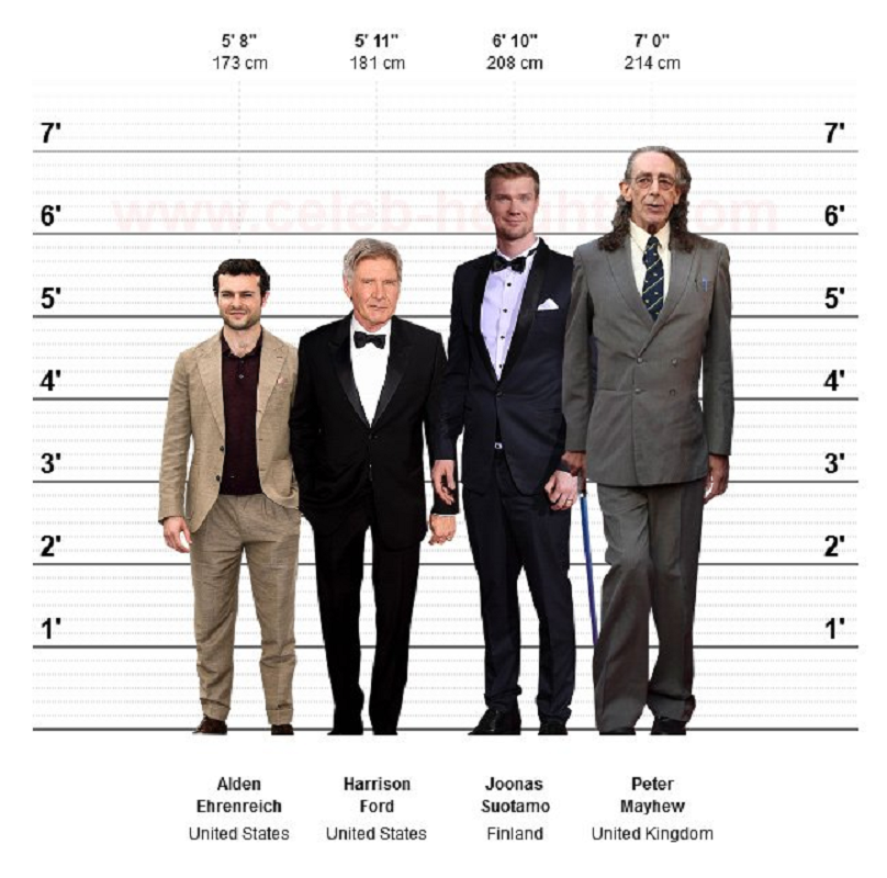 Harrison Ford - Income, Family, Height & Professional Achievements 2 Harrison Ford Height