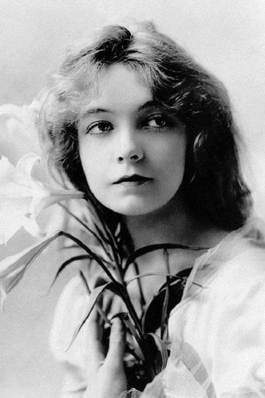 Lillian Gish - Height, Weight, Personal Life, Career, Vital Stats 3 Lillian Gish career