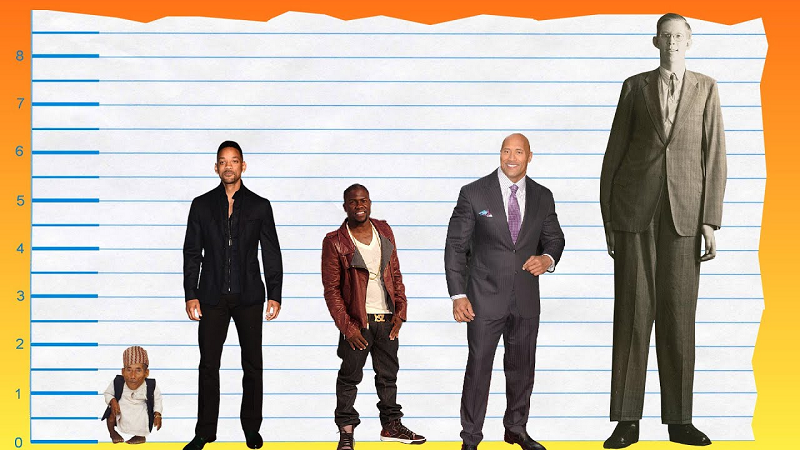 Will Smith - Height, Weight, Personal Life, Career, Vital Stats 2 Will Smith Height