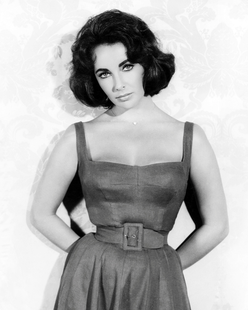 Elizabeth Taylor - Income, Family, Height, Professional Achievements 3 Elizabeth Taylor career