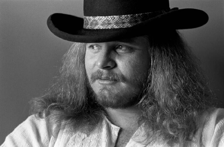 Ronnie Van Zant career