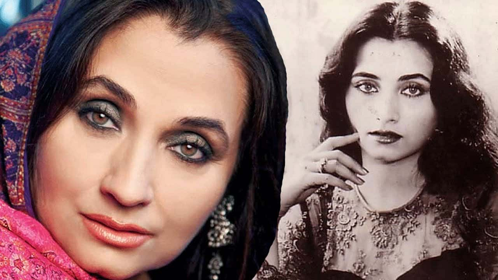 Salma Agha - Height, Weight, Personal Life, Career, Vital Stats 3 Salma Agha career