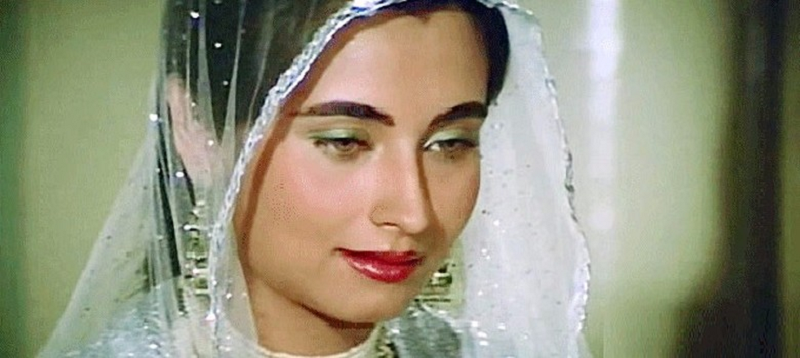 Salma Agha - Height, Weight, Personal Life, Career, Vital Stats 5 Salma Agha