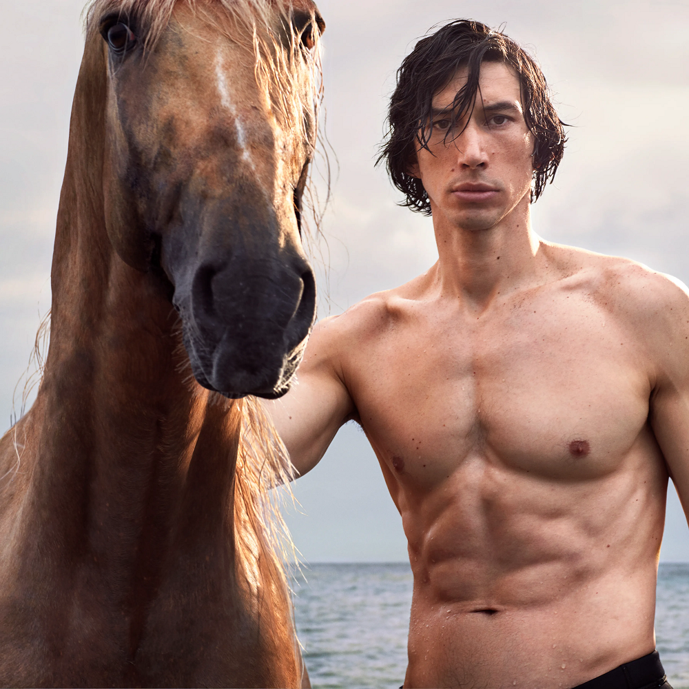 Adam Driver Height, Weight, Interesting Facts, Career Highlights, Physical Appearance 3 Adam Driver Profession