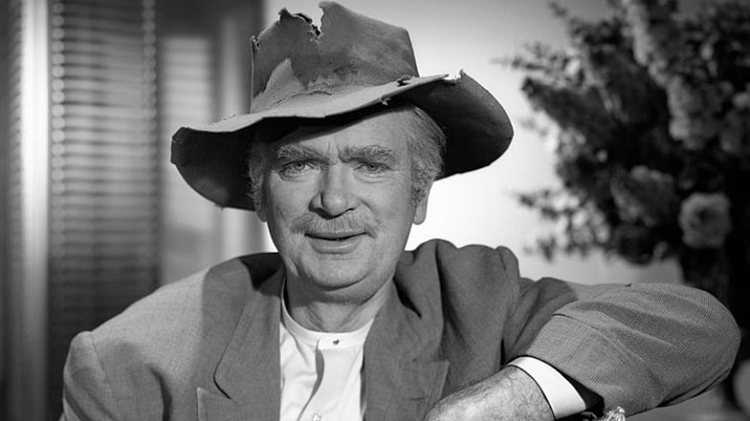 Buddy Ebsen: The Story Behind The Height, Weight, Age, Career And Success 3 Buddy Ebsen Profession