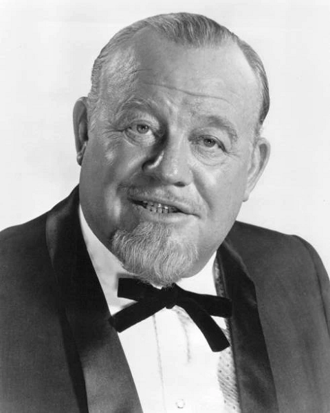 Burl Ives career