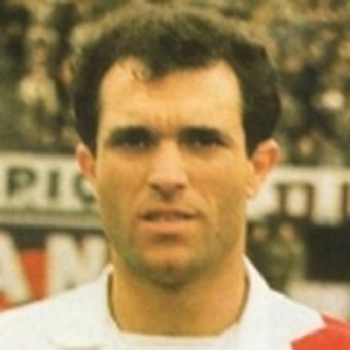 Carmelo Simeone Profession