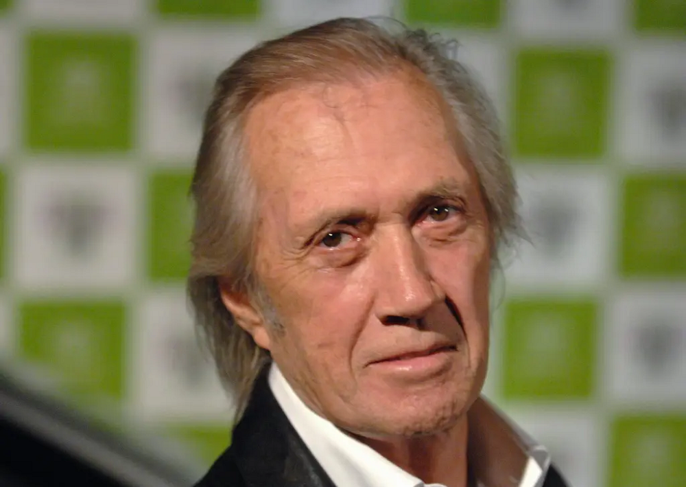 David Carradine Profession