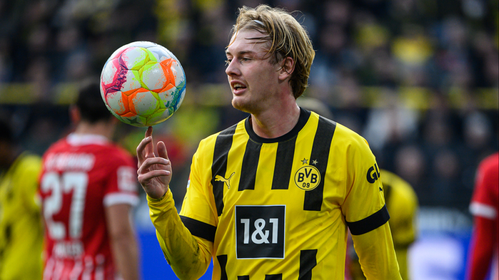 Julian Brandt Profession