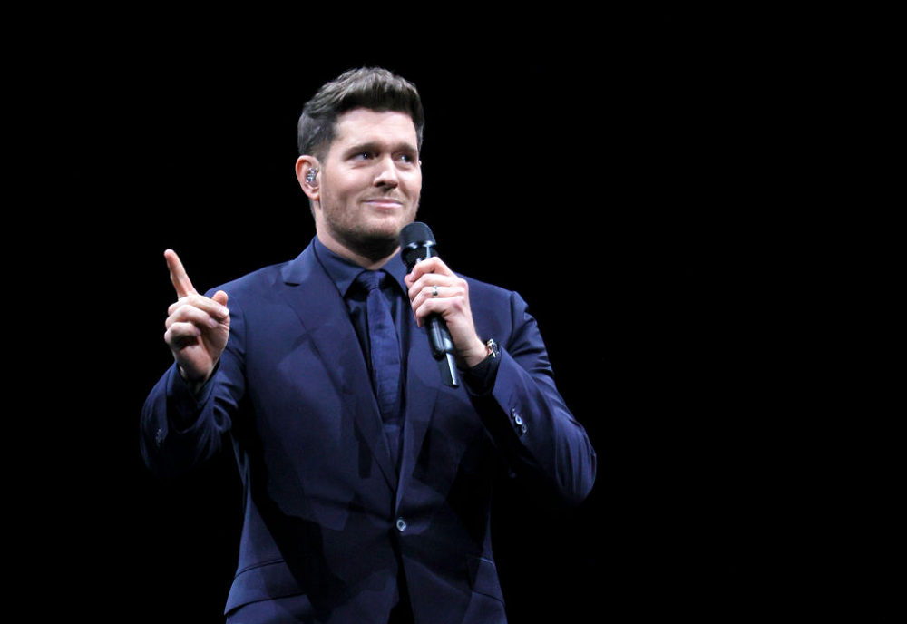 Michael Bubl: A Comprehensive Look At Full Biography And Lifestyle 4 Michael Bubl career