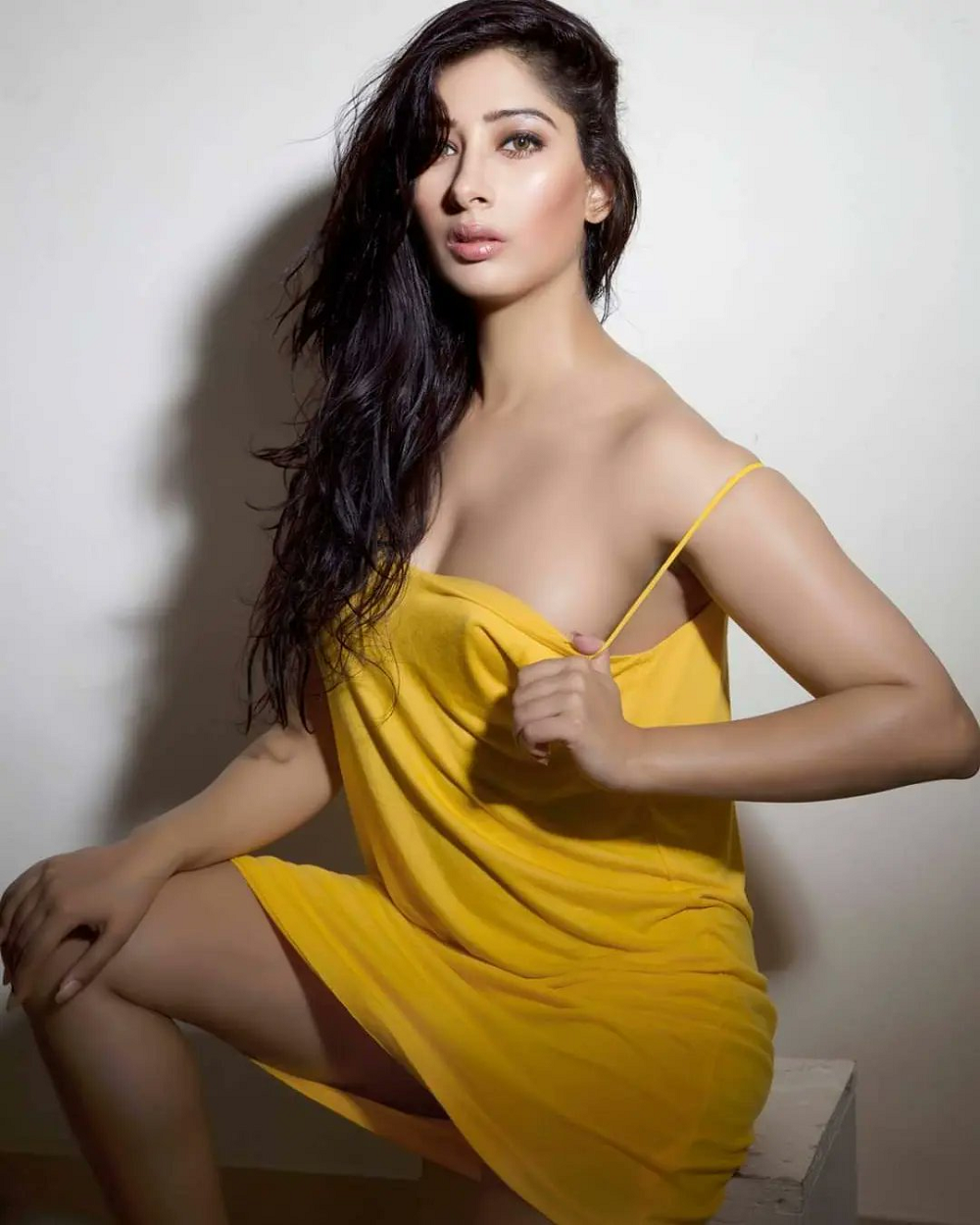 Niharica Raizada Weight, Age, Husband, Biography, Family Facts 4 Niharica Raizada career