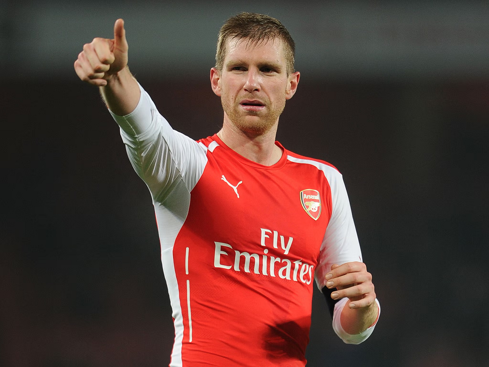 Per Mertesacker Profession