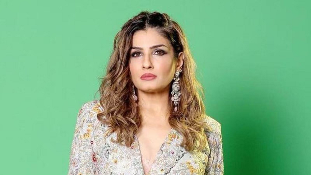 Ravina (Actress): Weight, Age, Husband, Biography, Family & Facts 3 Ravina (Actress) Profession