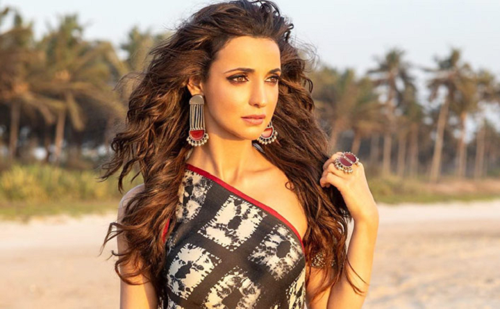 Sanaya Irani’s Biography, Age, Height, Wife, Net Worth, Family 4 Sanaya Irani career
