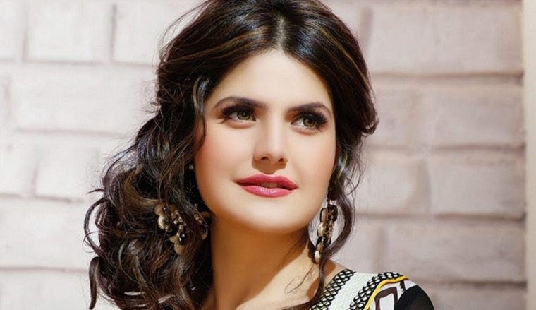 Zarine Khan Career