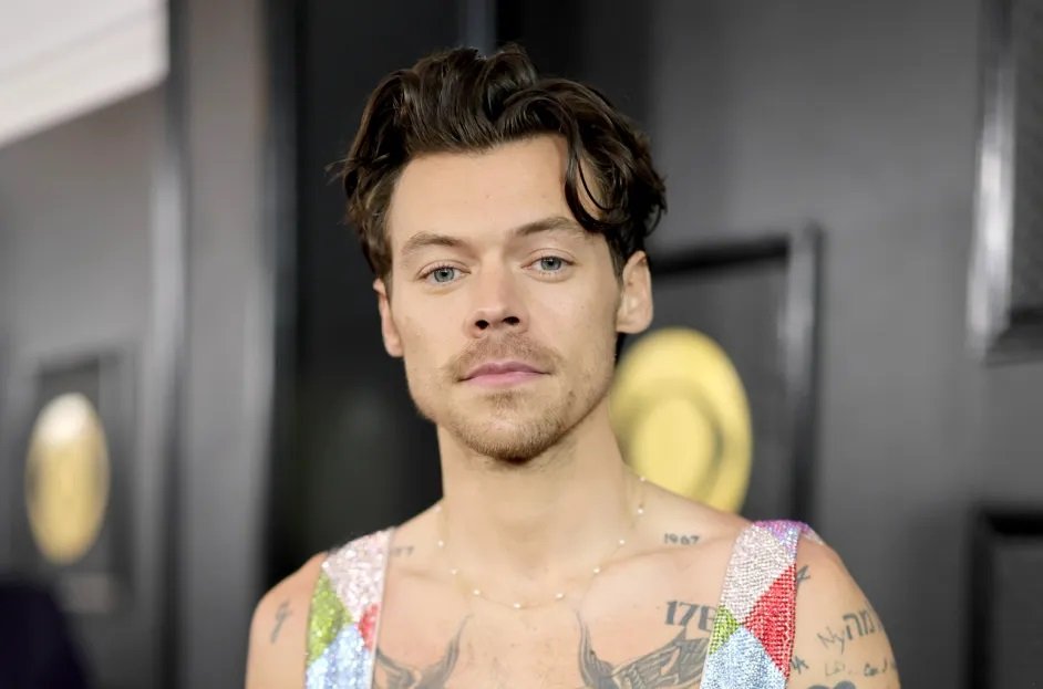 Top 10 Most Popular United Kingdom Singers: Age, Height, Weight and Biography 5 Harry Styles