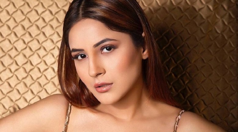 Top 10 Most Popular Punjabi Actresses: Age, Height, Weight and Biography 10 Shehnaz Kaur Gill
